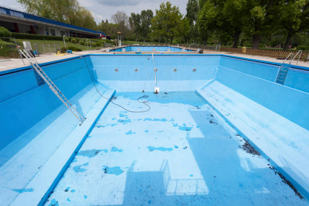 Best Basement water damage restoration  in Madelia, MN