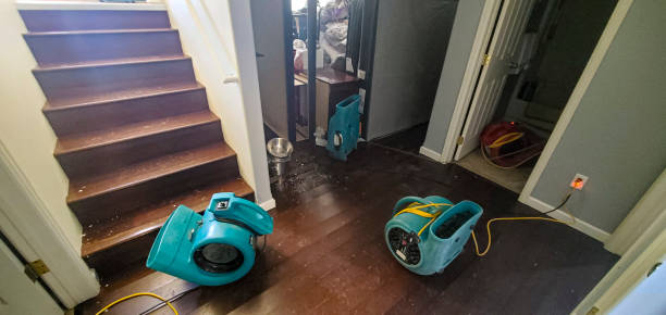 Best Residential water damage restoration  in Madelia, MN