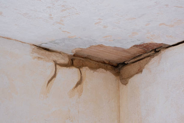 Best Water damage restoration near me  in Madelia, MN