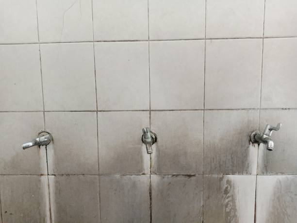 Best Carpet water damage restoration  in Madelia, MN