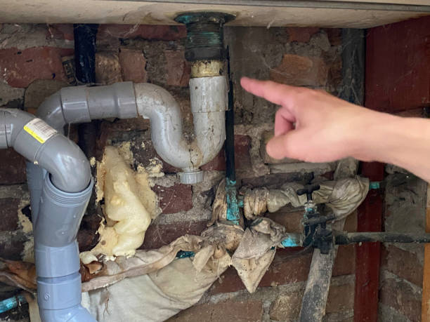 Best Water damage restoration near me  in Madelia, MN