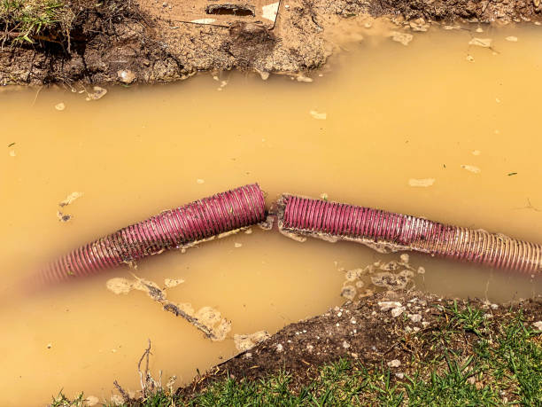 Best Emergency water extraction  in Madelia, MN
